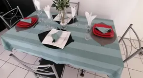 Appartement lumineux et spacieux à Bordeaux ! - Image 3