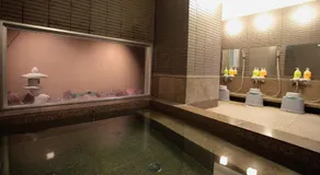 AB Hotel Mikawa Anjo Shinkan - Image 4
