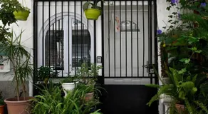 Un jardin en Ville - Image 4