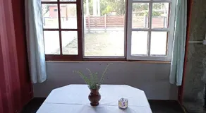 Colibrí - Image 3