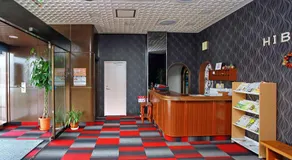 Hibaso - Image 4