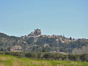 Beautiful mansion with views of Mont Ventoux and with fenced private pool - Image 4
