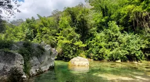 Quiétude Provençale - Image 4
