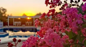 PEPEROSA Rooms and Events - Peaceful countryside escape with pool, private parking, just minutes from the sea, Anzio and Nettuno - Image 5