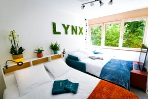 Lynx - Image 2