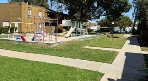 Carson - Image 4