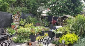 Tropical Garden Oasis Rooms - Image 5