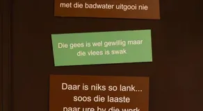 privesauna en luxe wellness Amakhosi - Image 2