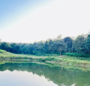 Havala Plantation Stay - Sakleshpur - Image 2
