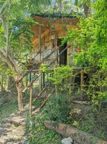JUNGLE PARADISE FARM & GUEST HOUSE - Image 5
