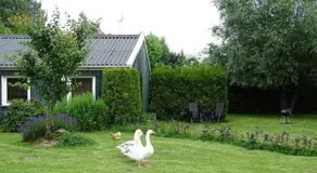 Apartment ARDA - Image 5