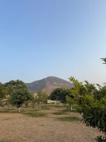 Pushkar Exotica - Image 3