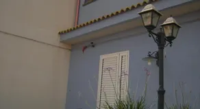 Casuzze Country - Image 5