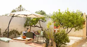Cantunera Barbára - Image 5
