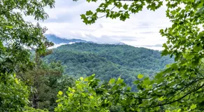 SmokiesBoutiqueCabins would love to host you! 4 miles to Gatlinburg Strip! Resort Pool open May 1 through Oct 1! Views, Shuffleboard, Hot Tub, Arcade! - Image 2