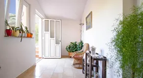 Durdica beautiful garden with fantastic sea and mountain views - Image 5