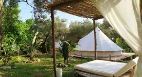 Golden Camp - Image 4