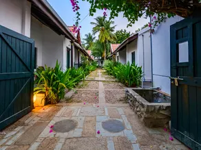 Neemrana's Coconut Alley - Image 2