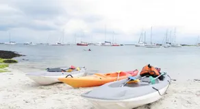 Sainte Marine - Image 4