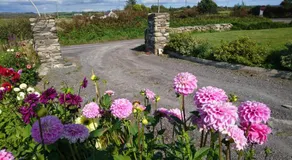 An Carraig Ard B&B - Image 4