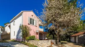 Apartments in pinewood near the sea - Image 5