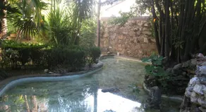 Villa Patrizia B&B - Image 3