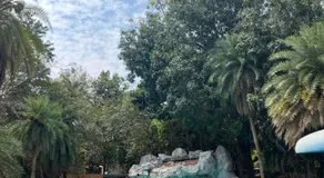 Gravity Groups SSK - Near Sangamithra Jipmer - Image 5