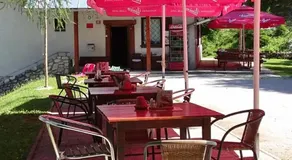 PLANINSKA KOČA NA GOZDU - Image 4