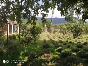 Beautiful Farm with Riverside 4 BHK Hut - Image 2