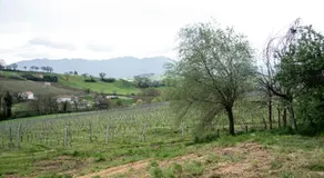 Casale Godenza - Image 5