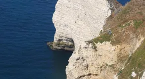 La Main Ouverte - Image 5