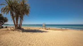 Bella Casa - Image 5