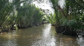 Thanh Ha Guesthouse - Image 5