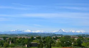 Agriturismo "Gli Olmi" - Image 4