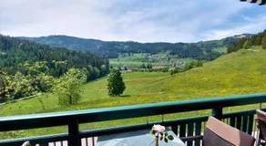 Landgasthof Hasbauer - Image 4