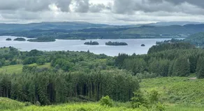 The Nest Glamping Pod - Image 5