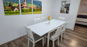 House with garden near Vienna & airport - Image 4
