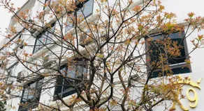 X9 Hotel - Image 4
