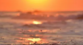 Avista 1BR - Balcony with Beach View & Amenities - Image 1