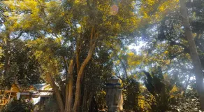 MoovInn Garden Guesthouse - Image 5