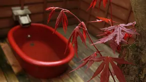 Yutagami Onsen Ryokan Hatsune - Image 2