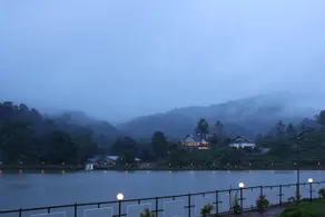jungle view resort - Image 5