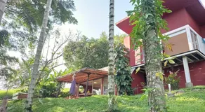 Tierra Negra Suite - Image 4