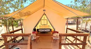 Wildhaven Sonoma Glamping - Image 5