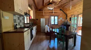 Rustic Cabin in the Woods/Cabaña en el bosque - Image 3