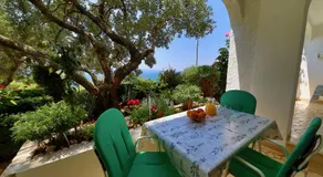 Ribičić Guesthouse - Image 3