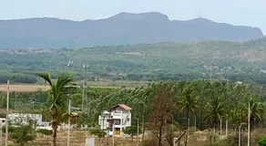 Nidagodu Homestay - Image 4