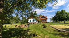 Boncz Porta - Felső - Image 5