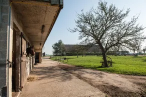 Domaine Equestre Etretat - Image 5