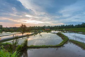 Cahaya Ubud Villa - Image 3